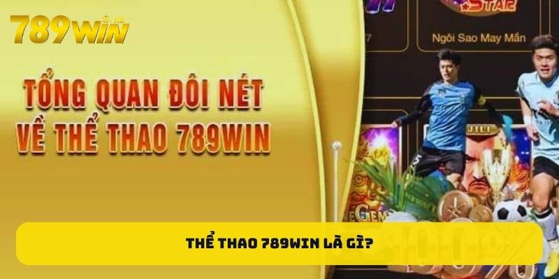 Trải nghiệm Cá Cược Đỉnh Cao với net88mega.com - Nơi Mọi Đam Mê Được Đáp Ứng